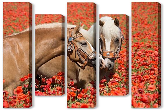 Модульная картина - Пара лошадей в маковом поле