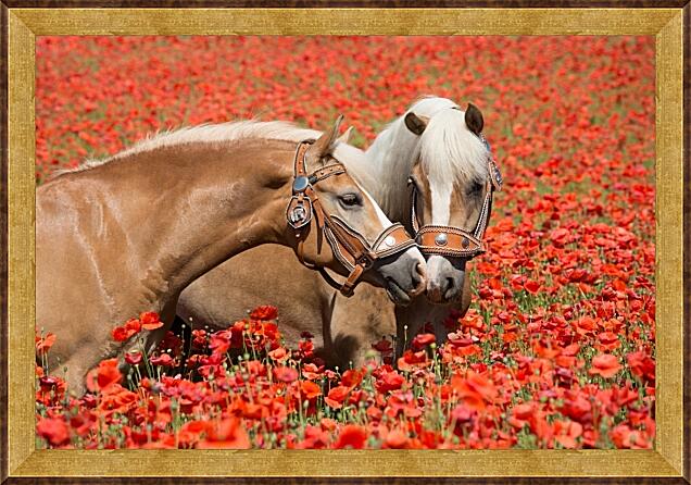 Картина - Пара лошадей в маковом поле