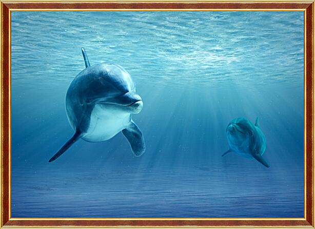 Картина - Дельфины