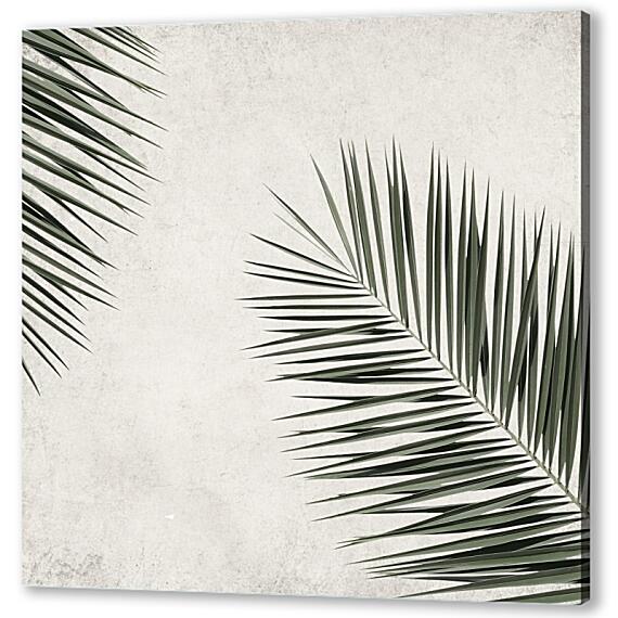 Постер (плакат) - Две ветки пальмы