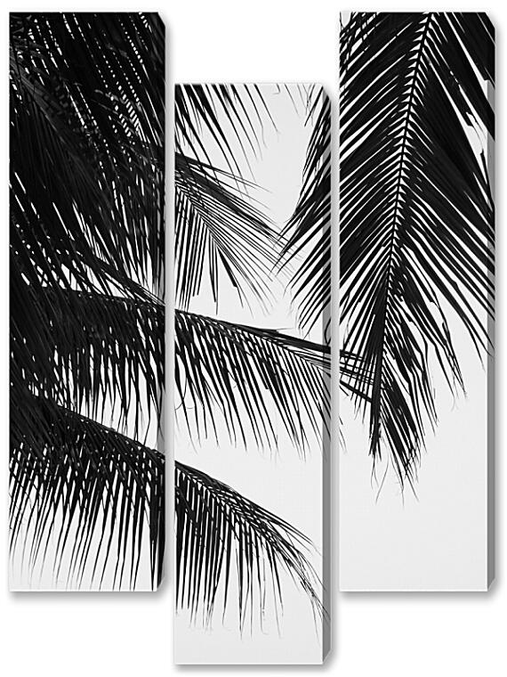 Модульная картина - Пальмовые ветви