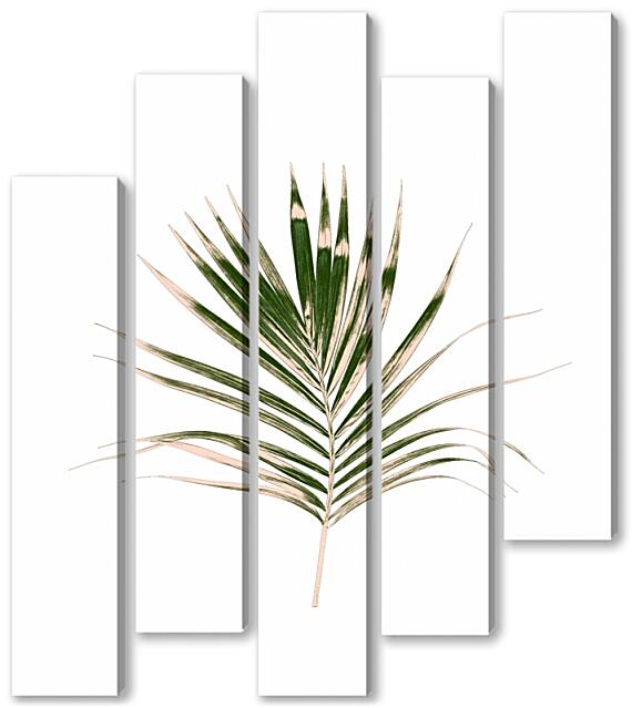 Модульная картина - Ветка пальмы