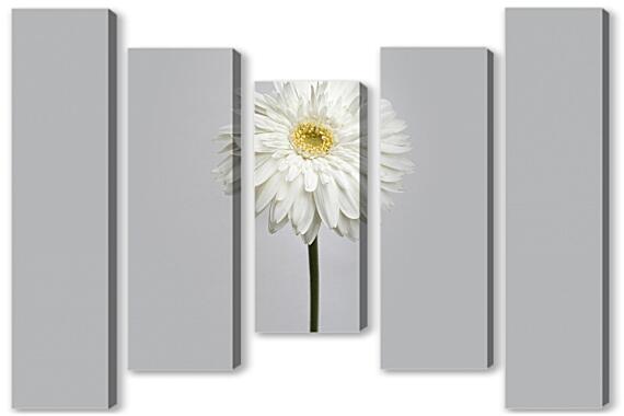 Модульная картина - Белый цветок