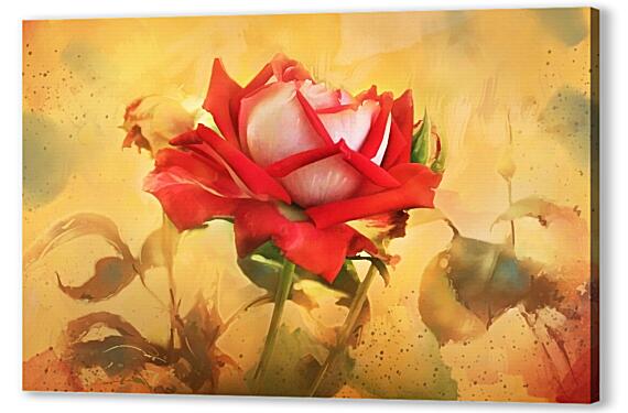 Постер (плакат) - Лепестки Розы