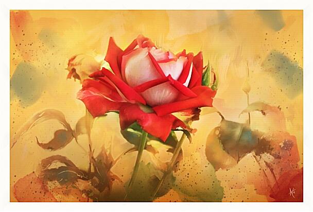 Картина - Лепестки Розы