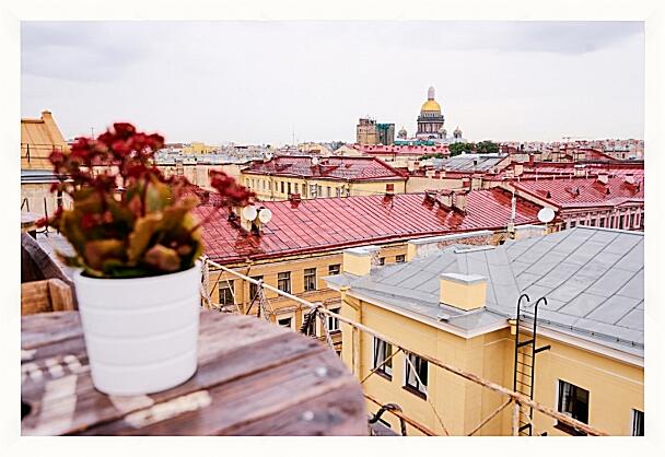 Картина - Крыши Санкт-Петербурга
