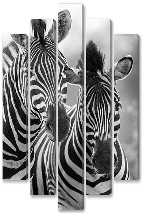 Модульная картина - Две зебры
