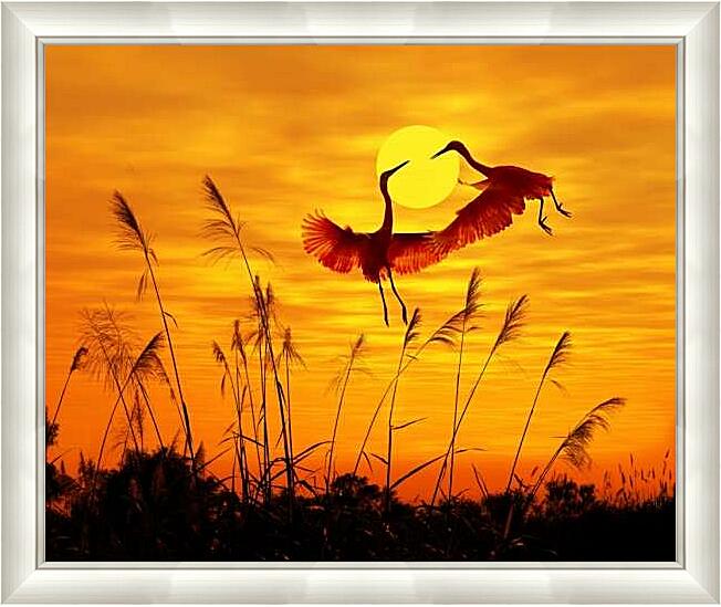 Картина - Журавли в лучах солнца
