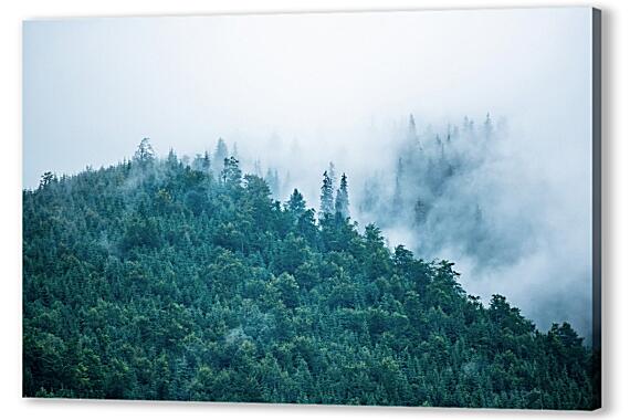 Картина маслом - Туман в горах