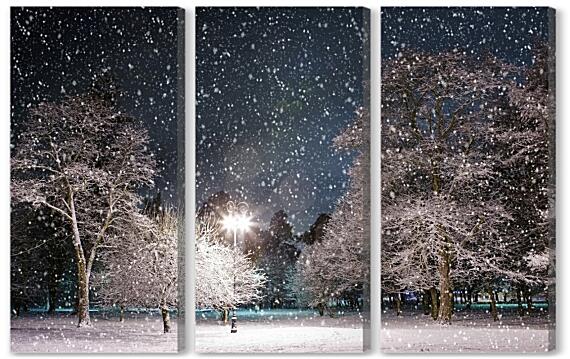 Модульная картина - Ночь в зимнем парке