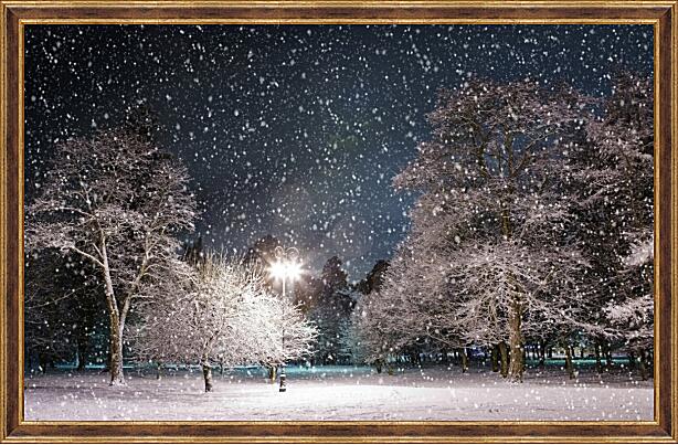 Картина - Ночь в зимнем парке