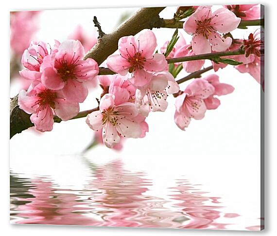 Картина маслом - Весна, сакура над водой