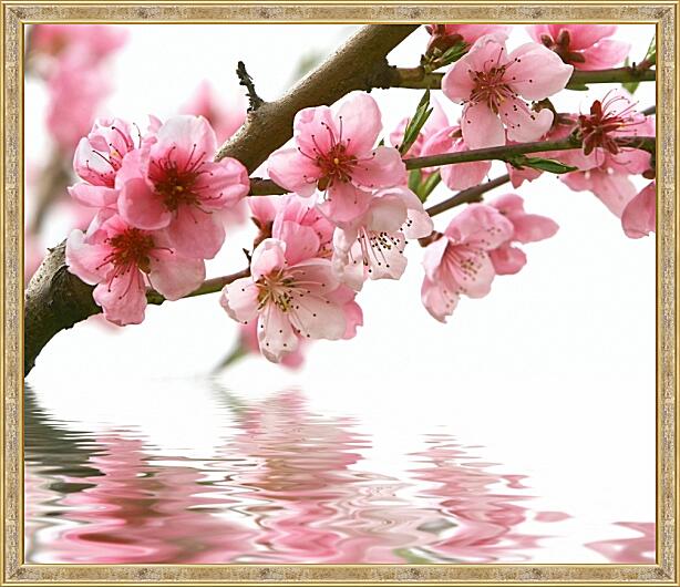 Картина - Весна, сакура над водой