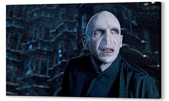Постер (плакат) - Lord Voldemort