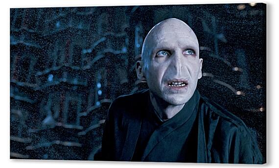 Lord Voldemort