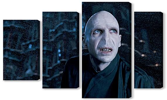Модульная картина - Lord Voldemort