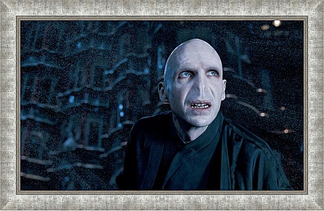 Картина - Lord Voldemort