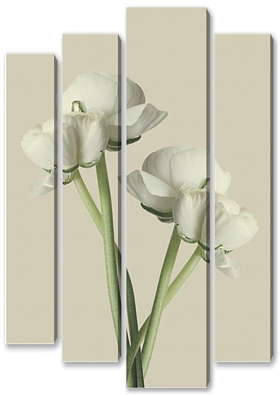 Модульная картина - Белый цветок №1