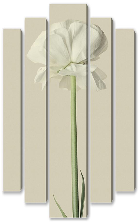 Модульная картина - Белый цветок №2
