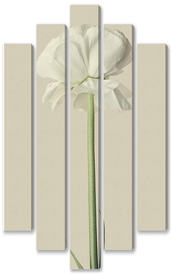 Модульная картина - Белый цветок №2