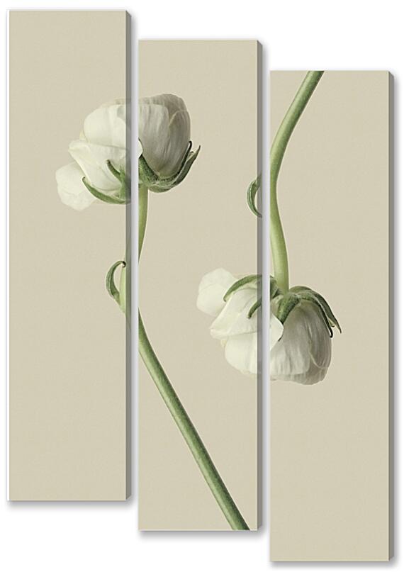 Модульная картина - Белый цветок №3