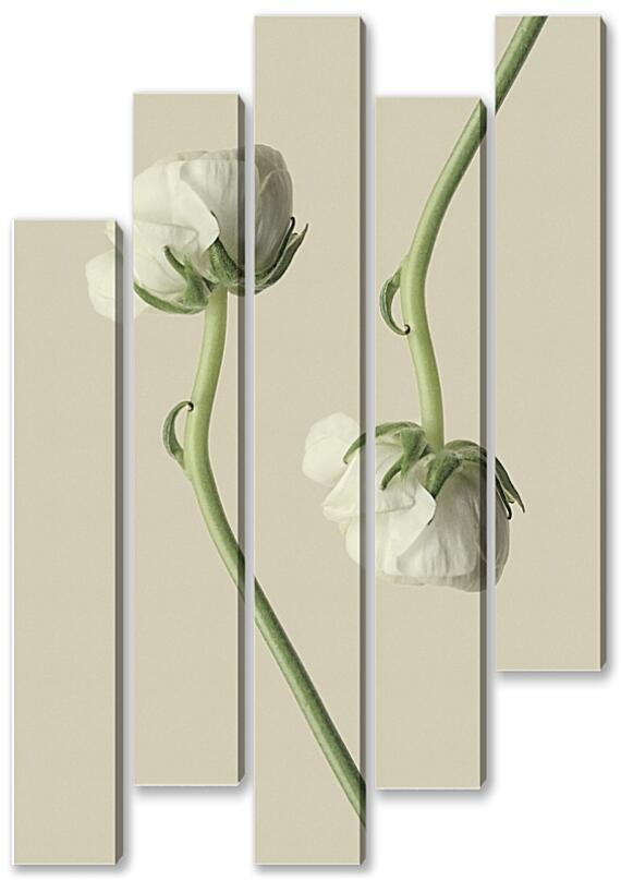 Модульная картина - Белый цветок №3