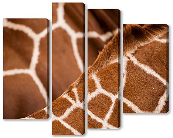 Модульная картина - Африка №1