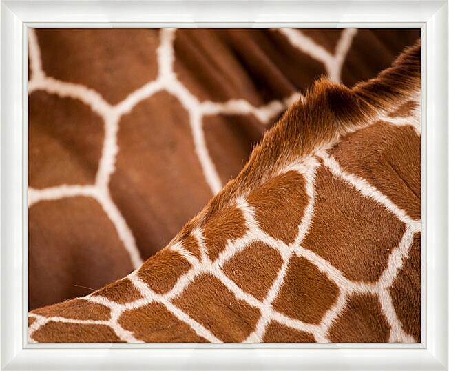 Картина - Африка №1