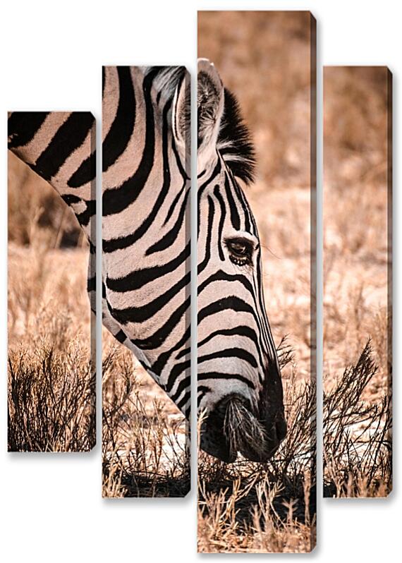 Модульная картина - Африка №4