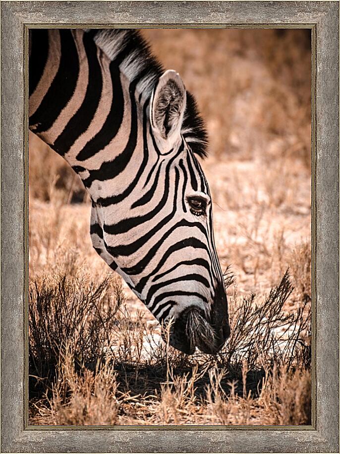 Картина - Африка №4