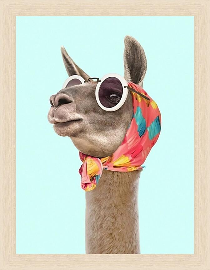 Картина - Boom Shaka Laka №4