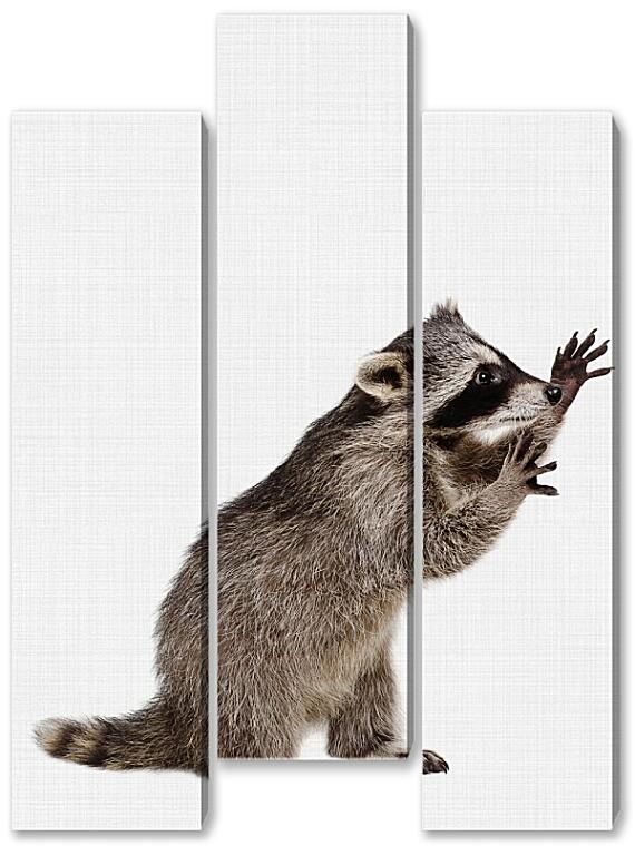 Модульная картина - Еноты №1