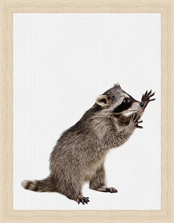 Картина - Еноты №1