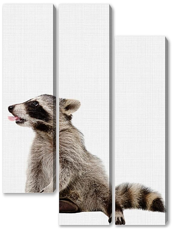 Модульная картина - Еноты №2