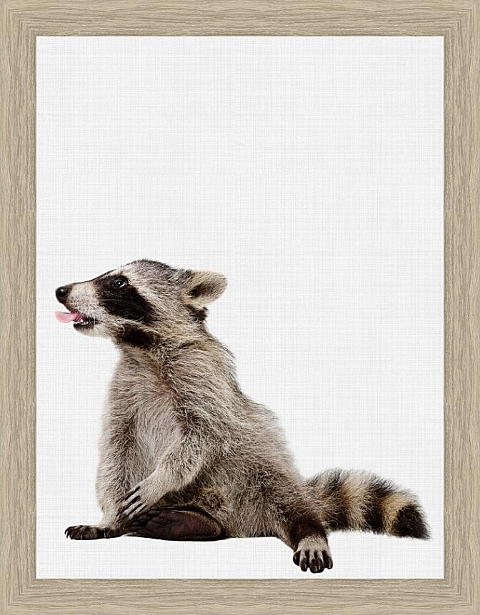 Картина - Еноты №2