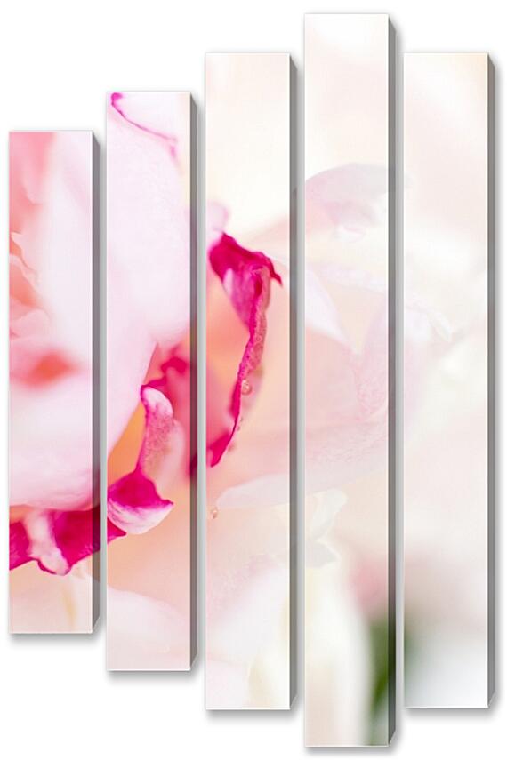 Модульная картина - Пионы №2