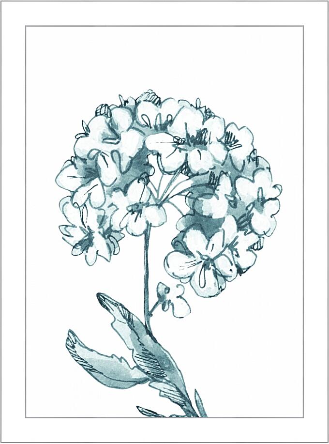 Картина - Гортензия акварелью №2