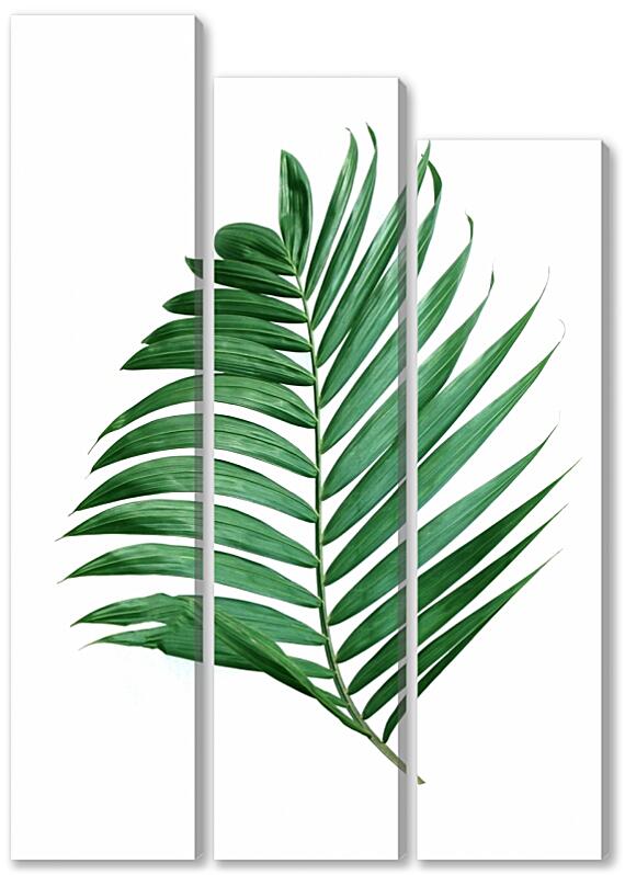 Модульная картина - Зеленые листья №2