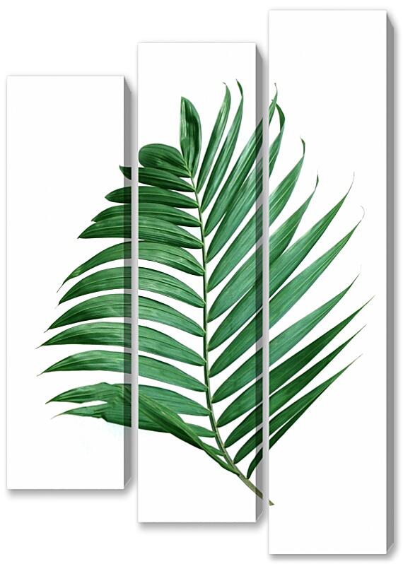 Модульная картина - Зеленые листья №2
