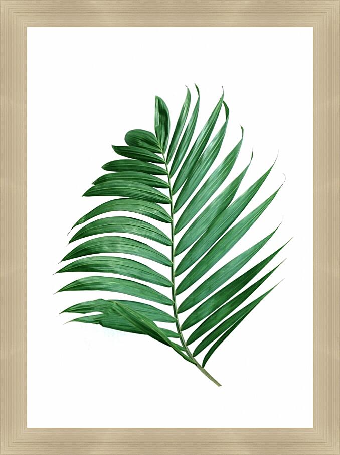 Картина - Зеленые листья №2