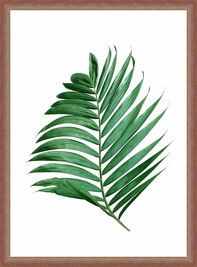 Картина - Зеленые листья №2