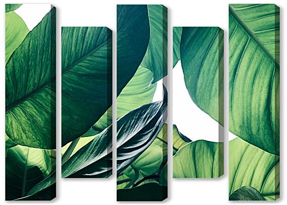 Модульная картина - Зеленые листья №3