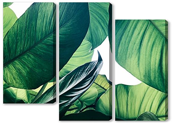 Модульная картина - Зеленые листья №3