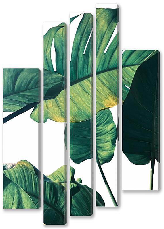 Модульная картина - Зеленые листья №1