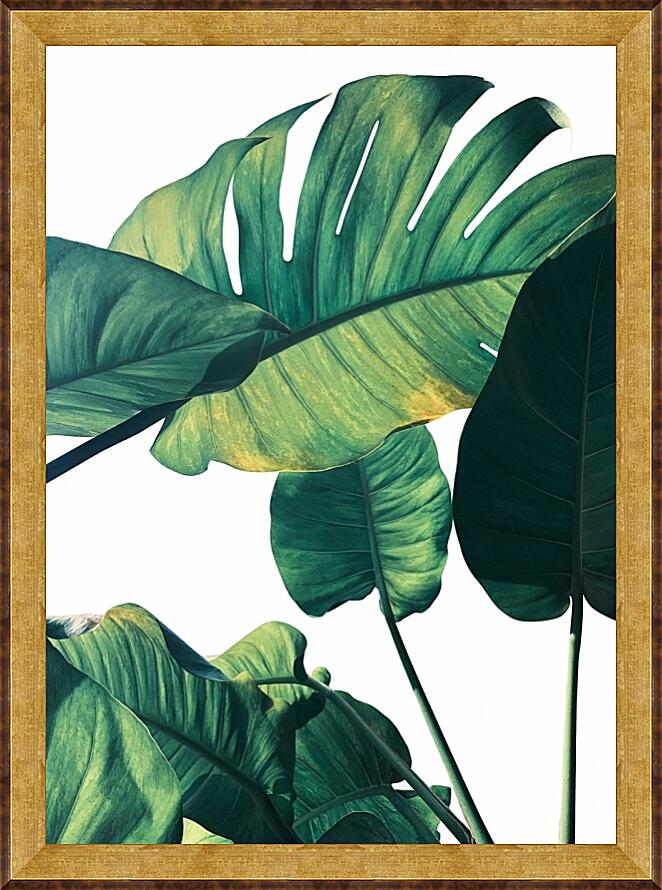 Картина - Зеленые листья №1