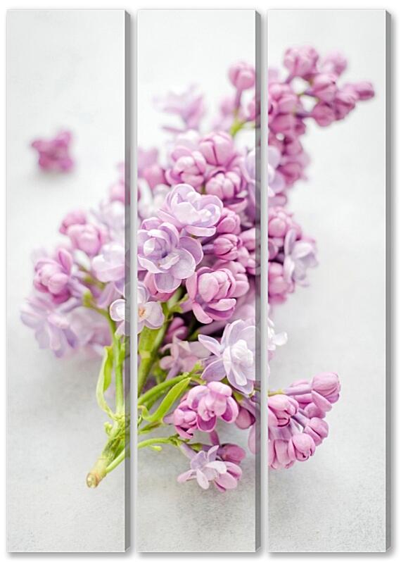 Модульная картина - Соцветия №1