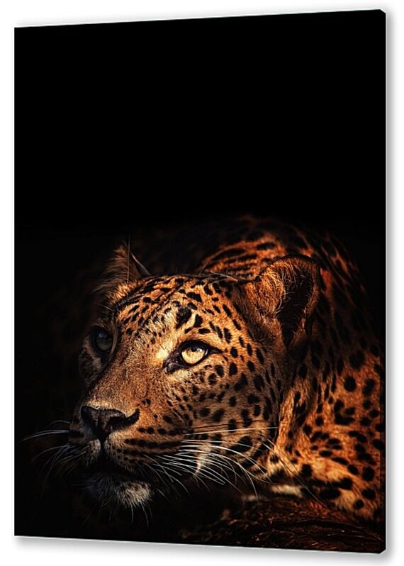 Картина маслом - Леопард №3