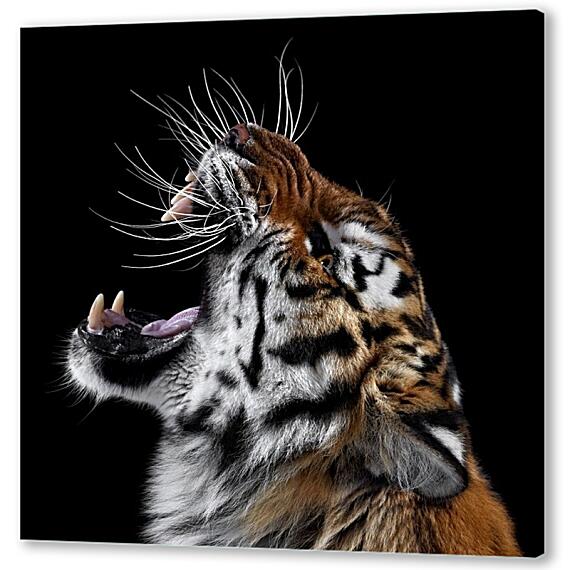 Картина маслом - Тигр №2
