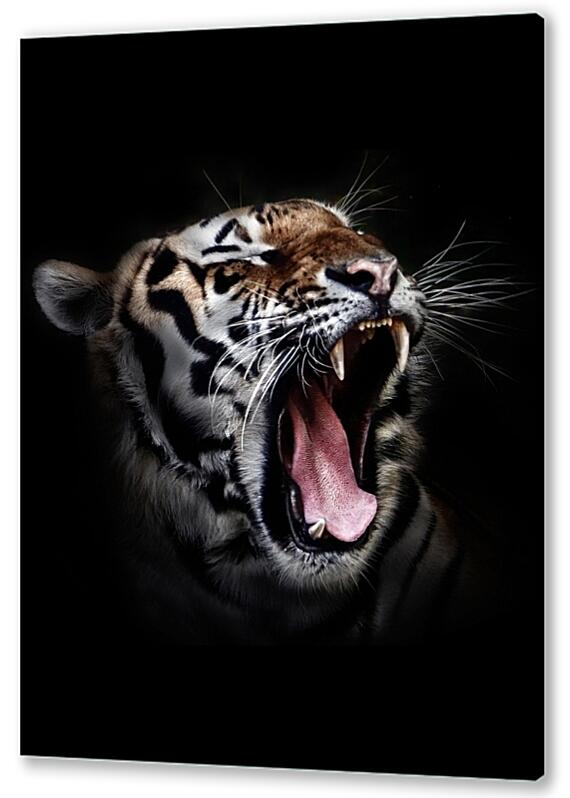 Постер (плакат) - Тигр №1