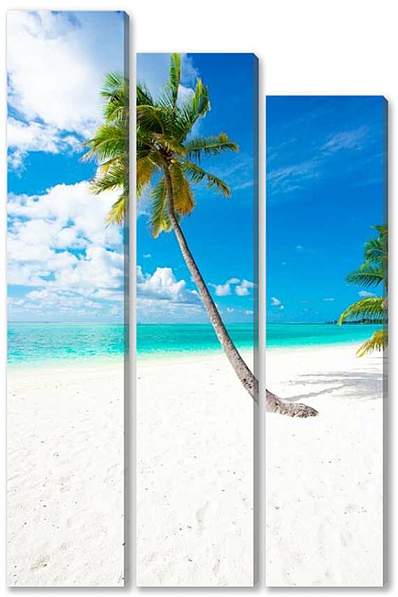 Модульная картина - Кокосовая пальма